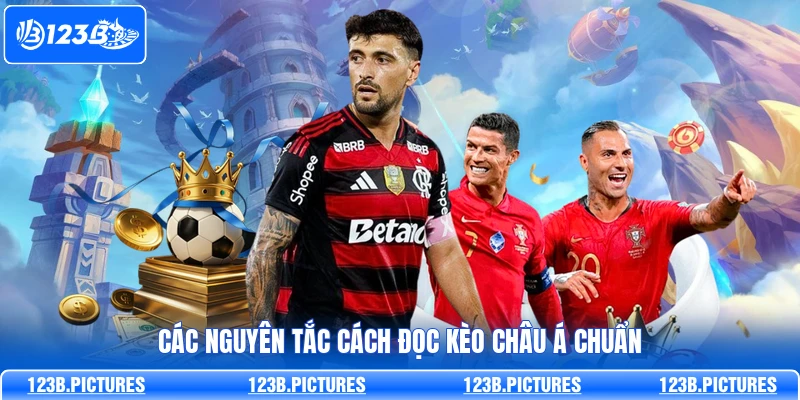 Các nguyên tắc cách đọc kèo châu Á chuẩn