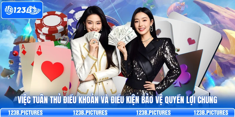Việc tuân thủ điều khoản và điều kiện bảo vệ quyền lợi chung